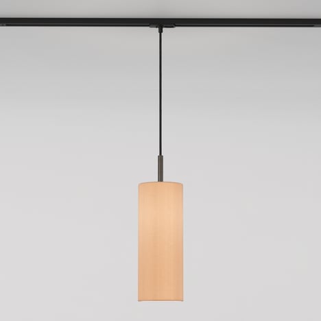 Tube 135 Pendant (4005943) in Bronze - Product Image 1