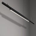 Linear 600 Fixed 48V Track DALI (1521005) in Matt Black - Insitu Thumbnail 1
