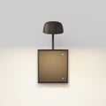 Monet 250 DALI (1517004) in Bronze - Product Thumbnail 4