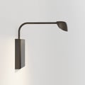 Monet 250 DALI (1517004) in Bronze - Product Thumbnail 5