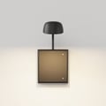 Monet 250 DALI (1517005) in Matt Black - Product Thumbnail 4