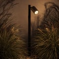 Dartmouth Spike 900 (1372018) in Textured Black - Insitu Thumbnail 2