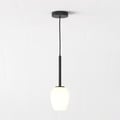 Tacoma Pendant (1429025) in Negro Mate with Tacoma Tulip Glass (5036007) in Blanco (Ópalo) - Thumbnail