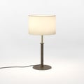 Drum 300 Shade (5016094) in Putty Fabric - Product Thumbnail 2