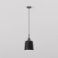 Camden 220 Pendant (4005193) in Bronze - Product Thumbnail 1