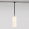 Tube 135 Pendant (4005319) in Matt Nickel - Product Thumbnail 1