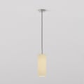 Tube 135 Pendant (4005281) in Matt Nickel - Product Thumbnail 1